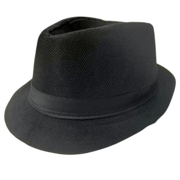 Sombrero Fedora B120 19